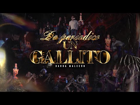 Banda Malecón - De Periodico un Gallito (Video Oficial)
