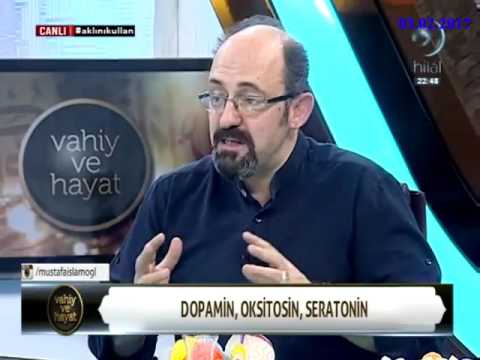 Dopamin, serotinin, oksitosin - Prof.Dr. Sinan CANAN-