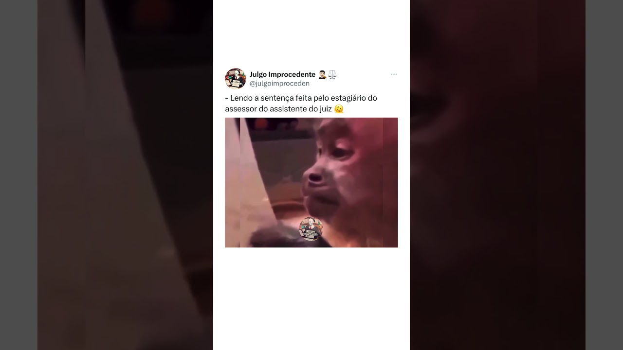 Lendo a sentença maravilhosa do processo 😂😂