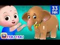 ஆனை ஆனை அழகர் ஆனை (Aanai aanai alagar aanai) COLLECTION - ChuChu TV Tamil Rhymes and Kids So