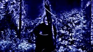 Halloween Aqua Home Video