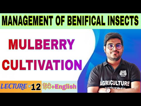 importance of beneficial insects management of benifical insects bsc agriculture 5th sem