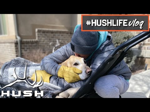 HUSHLIFE VLOG | PUTTING DOWN YOUR BIRD DOG | S2EP09