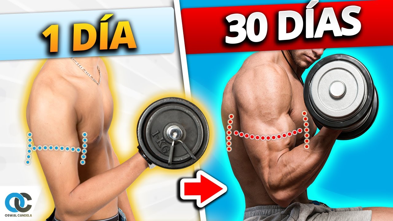 Watch Cuánto tarda en CRECER un MÚSCULO ¡Explicado con Ciencia! Now Cuánto tarda en CRECER un MÚSCULO ¡Explicado con Ciencia!