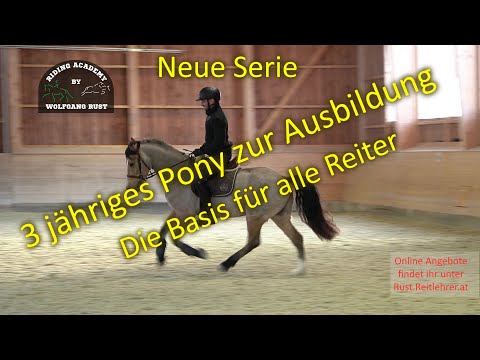 , title : 'Jungpferde Ausbildung und Basis Wissen für alle Reiter! Cookie - 3 jährige Welsh Cob Wallach, Pony'