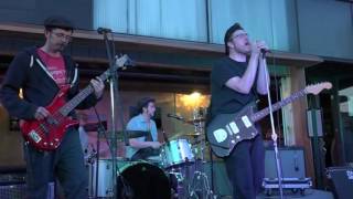 Average Mammals -  Steal Me Swiftly