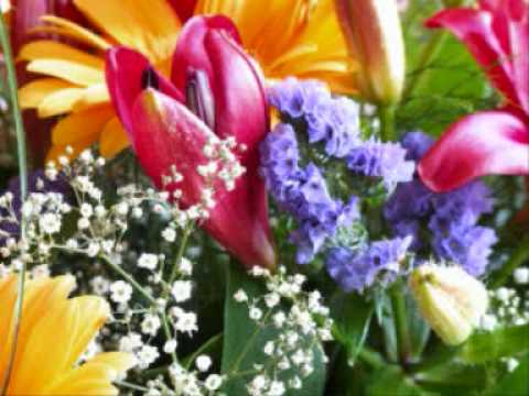 Marcel & Lydia Zimmer - Adembenemend