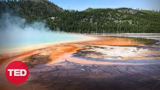 Earth's original inhabitants -- and their role in combating climate change | Steven Allison