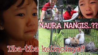 Download lagu YEAAY!!! FINALLY I CAN KEEP A RABBIT, BUT WHY IS THE RABBIT SICK?? || TWINS MEYNOW VLOG mp3