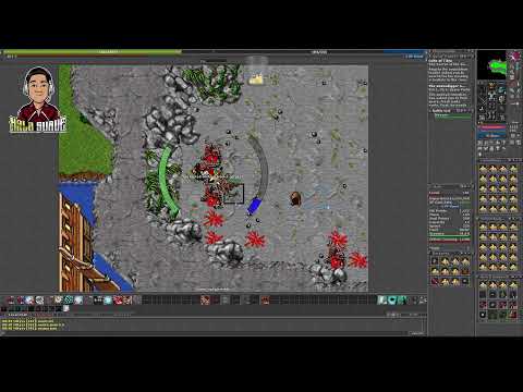 PLAYING TIBiA MMRPG 2025 101 Elite Knight clearing edron heros castle