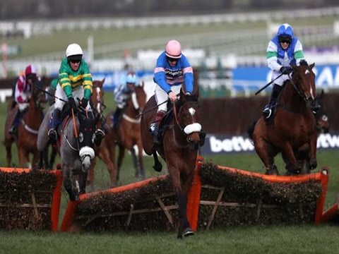 Wow...Cheltenham Festival 2017 Live Gold Cup Latest And All The Results From Prestbury Park