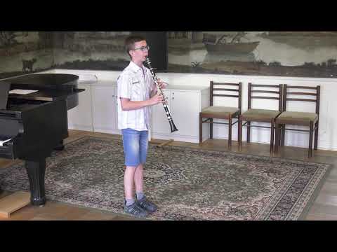 Lukáš Chvosta, 13 let, vlastní skladba "Tam kde je muzika", 19.6.2019