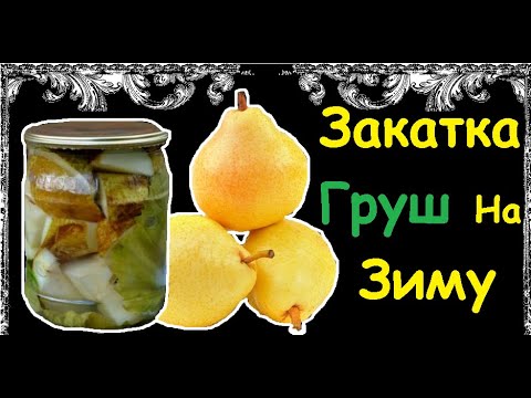 Закатка Груш На Зиму / Книга Рецептов / Bon Appetit