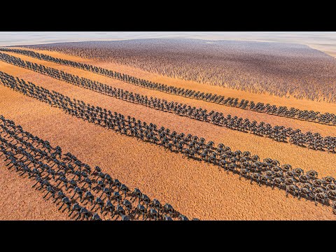 10 LINES OF TROLLS vs 1 MILLION ZOMBIES - Ultimate Epic Battle Simulator 2 UEBS 2