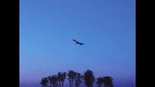 René Evald - Tomorrow Is Such A Long time