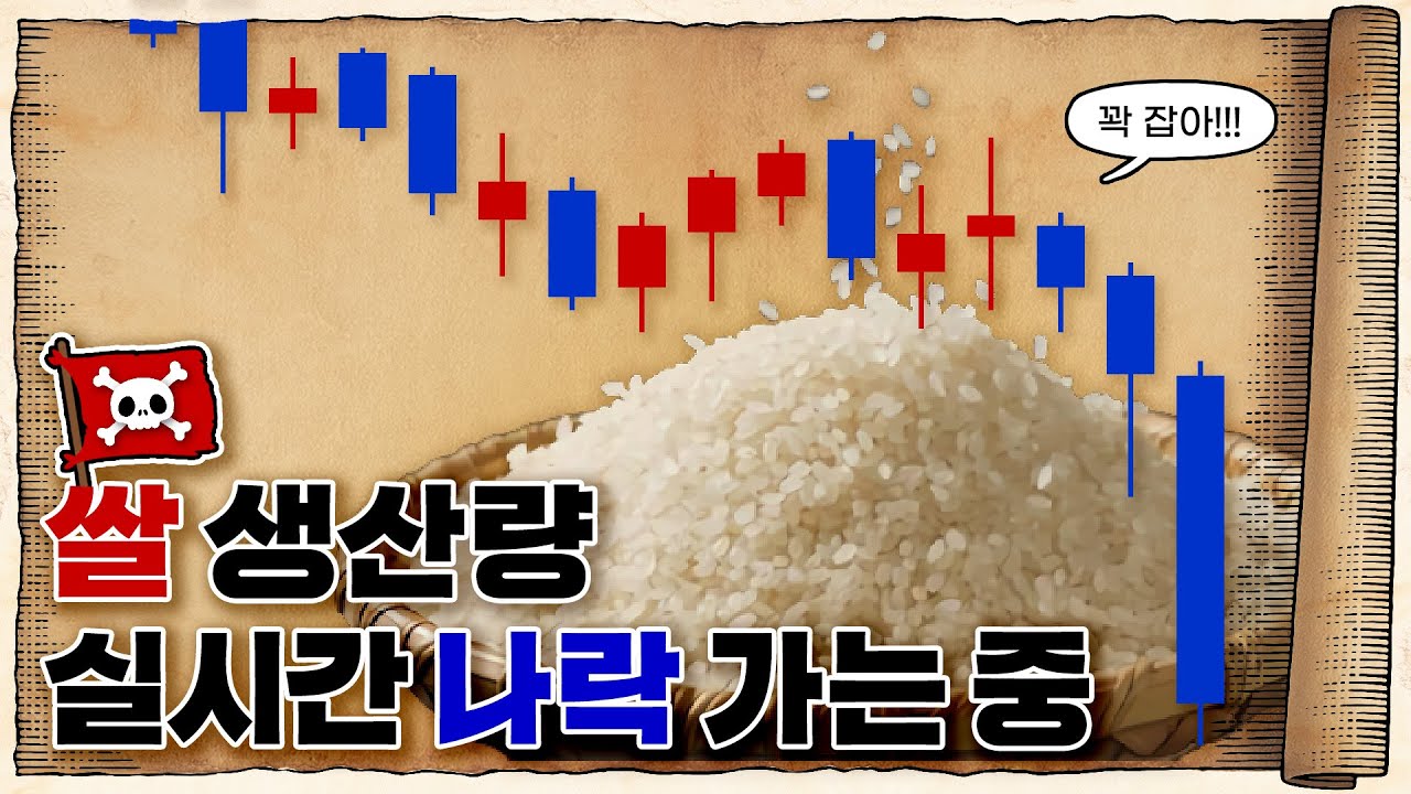 💀 조만간 쌀을 못 먹게 될 수도 있는 이유 ㄷㄷ / 💀 지구 기온 상승이 쌀 생산에 미치는 영향