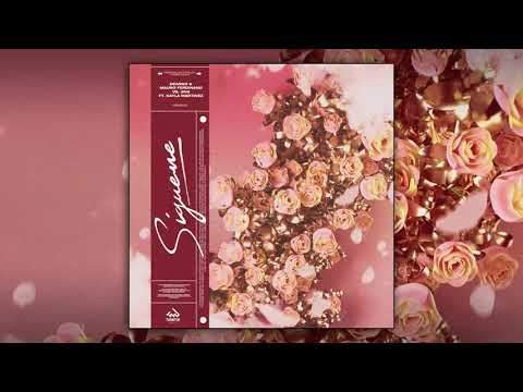 Dzasko & Mauro Ferdinand vs 3N8 featuring Kayla Martinez - Sigueme 🌹