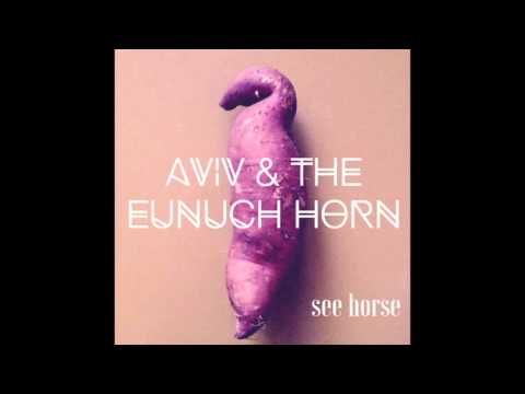 Aviv and the Eunuch Horn- Tacit Knowledge