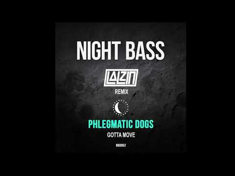 Phlegmatic dogs - Gotta Move (LALZIN Remix)