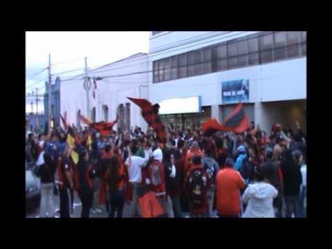 "Los Rojinegros-Rangers de Talca 2013" Barra: Los Rojinegros &bull; Club: Rangers de Talca