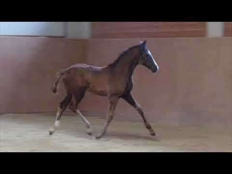 SECRET-Danone I-St Cloud 19C296E8 0FBB 48AC B0C0 47B54A94CB5A