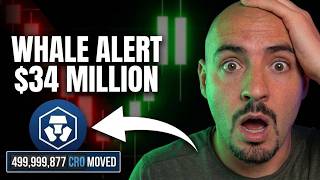 WHALE ALERT: $34 Million CRO Coin Transfer! (Crypto.com Secret Partner
