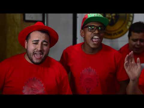 Mocidade Alegre 2019 - Samba 6 Clipe