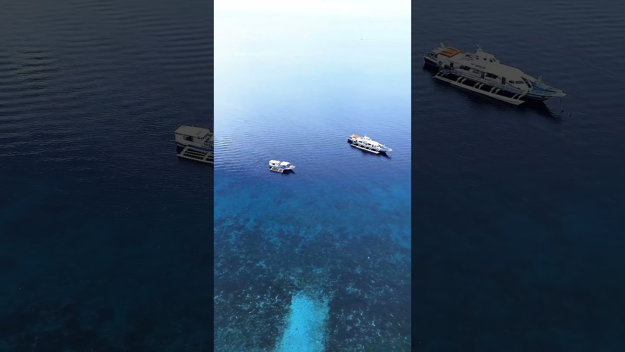 YouTube Short thumbnail