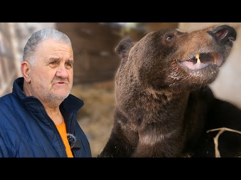 Eminov Gvido  najteži medvjed u regionu