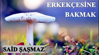 Said Şaşmaz - Erkekçesine Bakmak