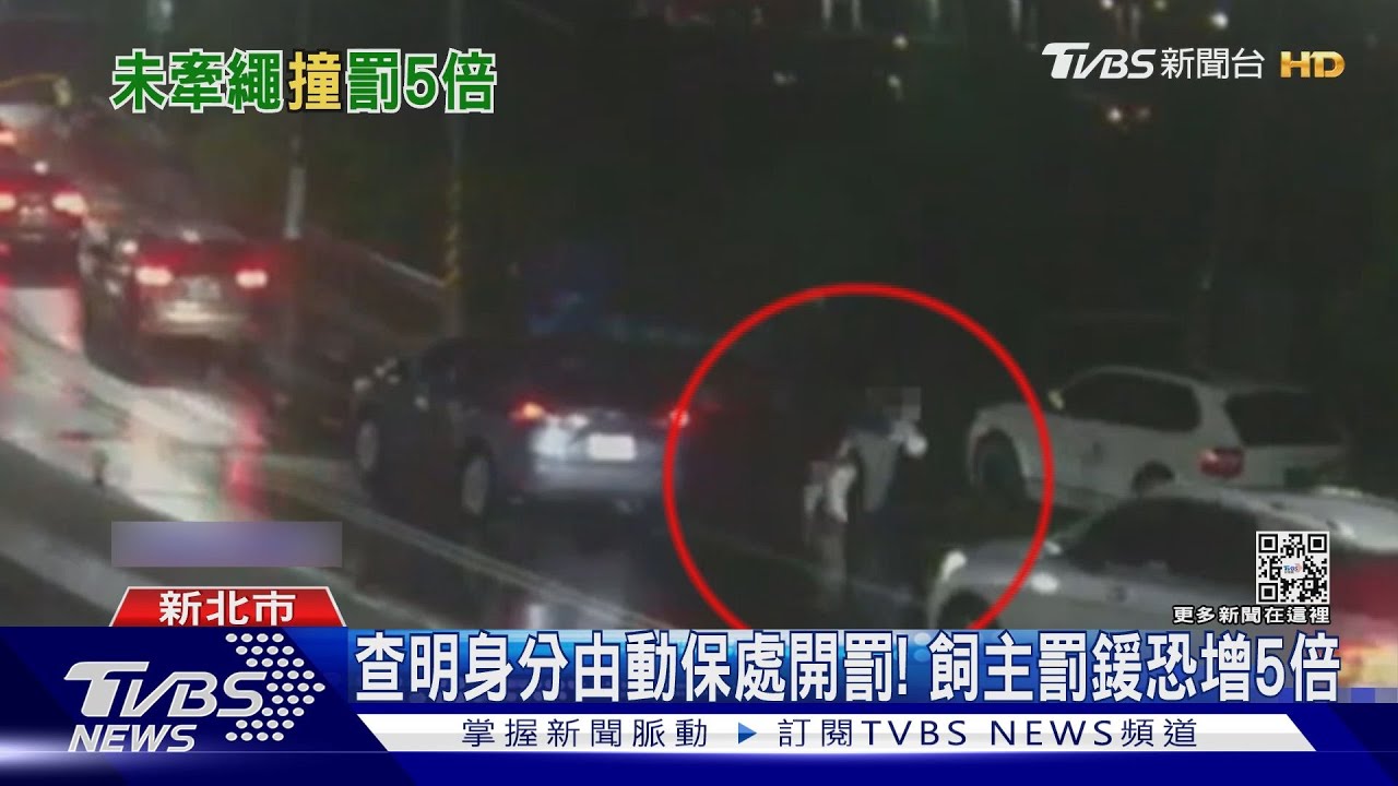 遛狗害摔車快閃! 飼主行走肇事「非」肇逃