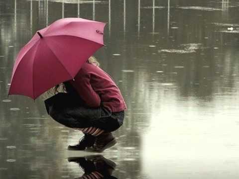 Jedyne co mam - Czerwony Tulipan