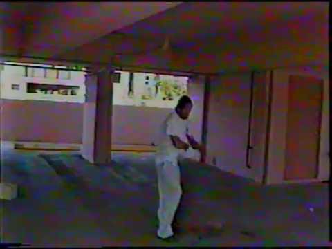Shane Molinaro: Martial Art Arnis, Anyo 2 Empty Hand Form, By Dr. Chad Bailey, A.P., Guru
