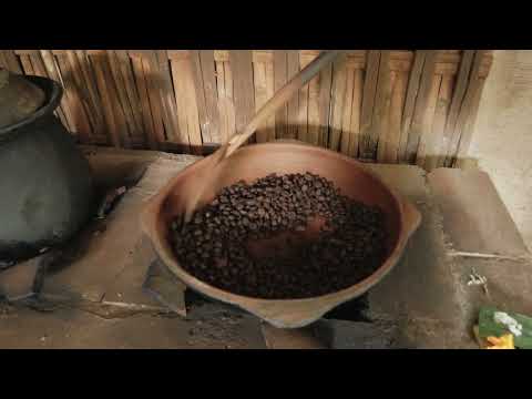 Wild Indonesian Kopi Luwak | The World’s Rarest Coffee