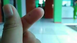 Download lagu By viva video Lagu dimana hatimu mp3