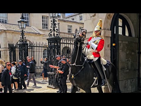 HORSE LEAVES THE BOX AS COMMON SENSE LEAVES TOURISTS - WHO JUST STAND THERE at Horse Guards!