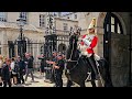 HORSE LEAVES THE BOX AS COMMON SENSE LEAVES TOURISTS - WHO JUST STAND THERE at Horse Guards!