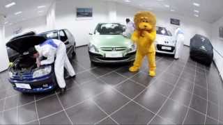 preview picture of video 'Harlem Shake Peugeot Métin Chelles'
