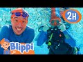 Blippi Goes Diving UNDERWATER Blippi And Meekah Best Friend Adventures Educational Videos