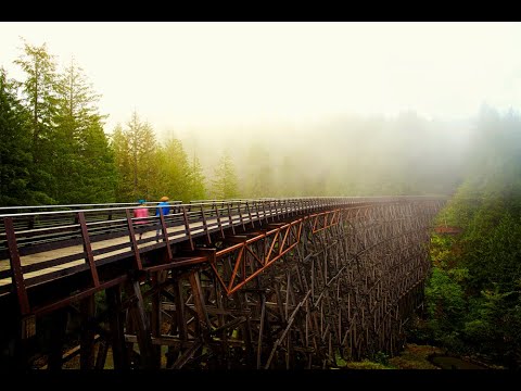 Discover Your Next Adventure in Cowichan!