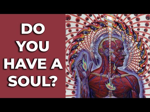 Do You Have a Soul? With Tyron Goldschmidt