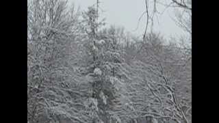 preview picture of video 'Sugar Creek Park after Snow Fall,St Louis,MO.USA.'