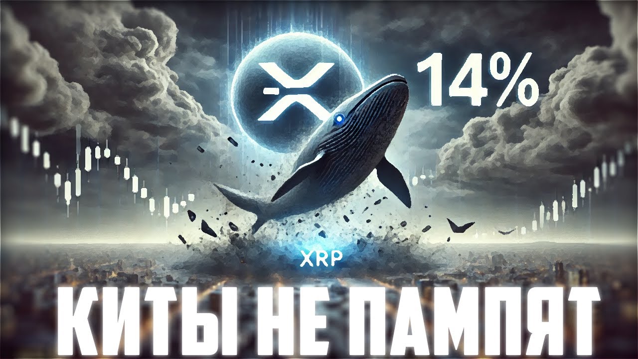 XRP ГОТОВИТ ПОЛЁТ НА ДНИЩЕ ПОКА ТЫ ЖДЁШЬ ПАМП! RIPPLE КИТЫ НЕ БУДУТ ПАМПИТЬ RWA? ПРО?