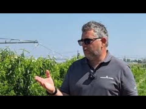 video media thumbnail