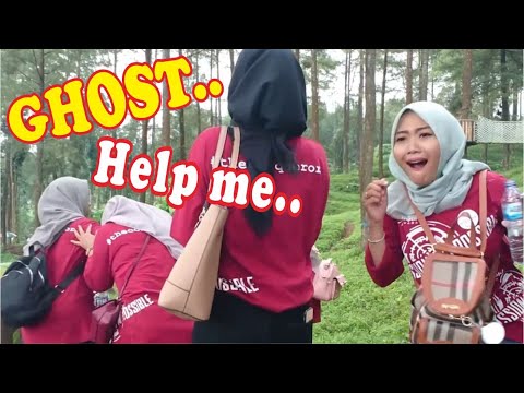 trailer-full-of-expression-bushman-prank