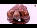 THE SILVERBACK GORILLA LET S TRAIN BACK WITH THE GOAT RONNIE COLEMAN MOTIVATION