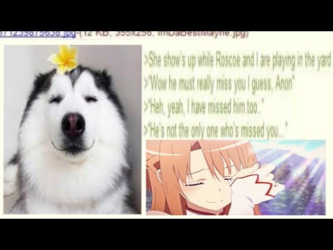 Anon Wins His GF Back By……. 🐶 - 4chan /b Greentext