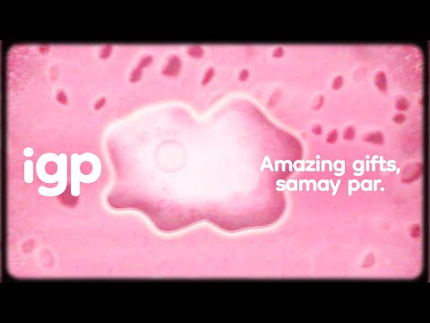 Celebrate Timeless Love with Amazing Gifts, Samay Par