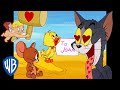 Tom Y Jerry En Latino El Amor Se Siente En El Aire WB Kids
