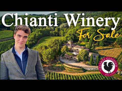 BOUTIQUE WINERY WITH RESTORED VILLA FOR SALE IN GREVE IN CHIANTI, TUSCANY